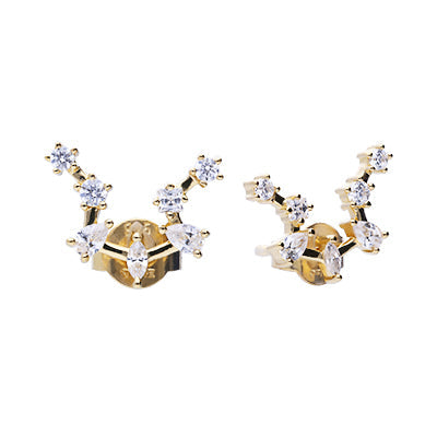 Diamonfire Zodiac Constellation Stud Earrings