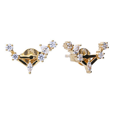 Diamonfire Zodiac Constellation Stud Earrings
