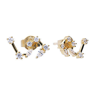Diamonfire Zodiac Constellation Stud Earrings