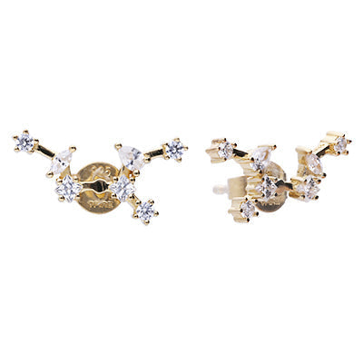 Diamonfire Zodiac Constellation Stud Earrings
