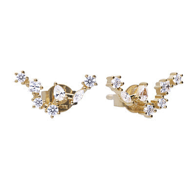 Diamonfire Zodiac Constellation Stud Earrings