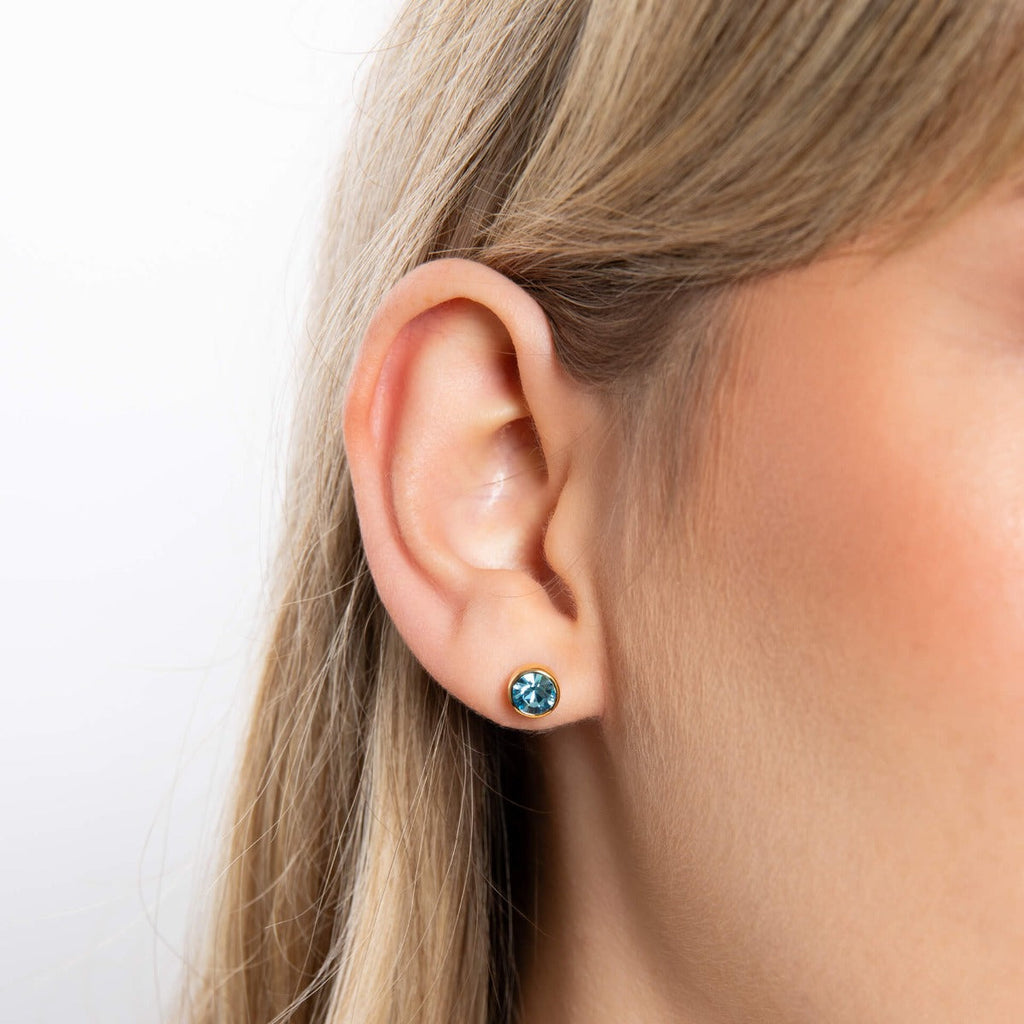 Beginnings Crystal Birthstone Earrings
