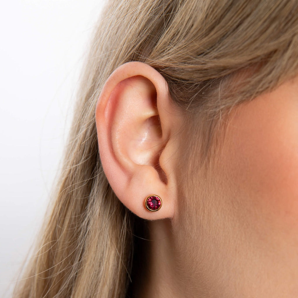 Beginnings Crystal Birthstone Earrings