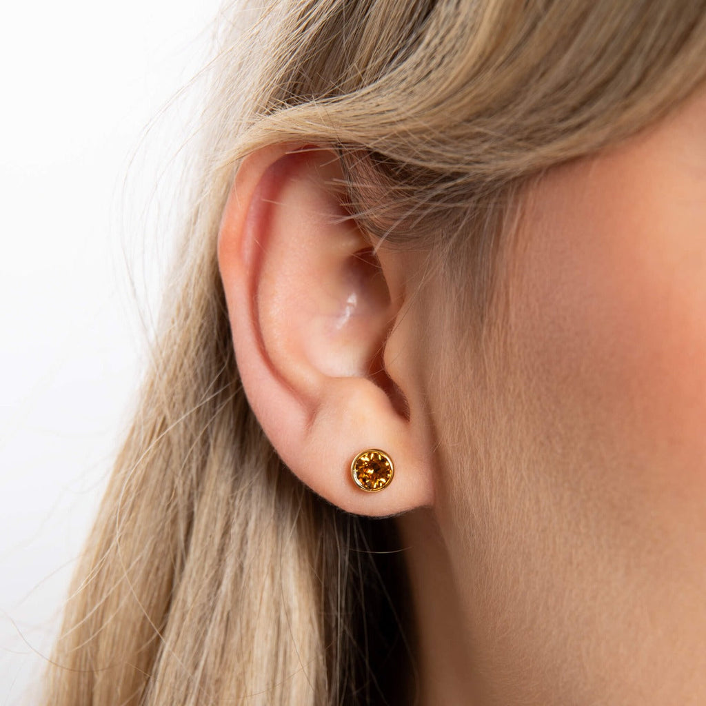 Beginnings Crystal Birthstone Earrings