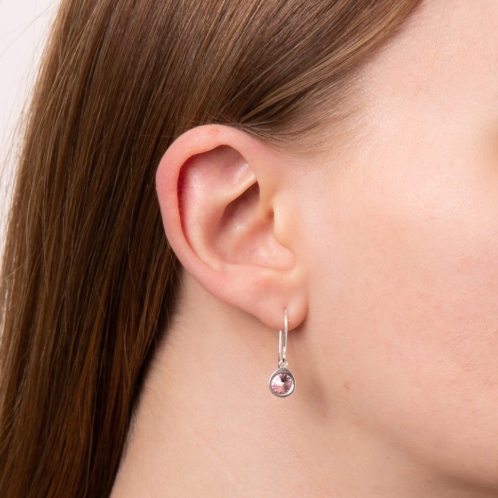 Beginnings Crystal Drop Earrings