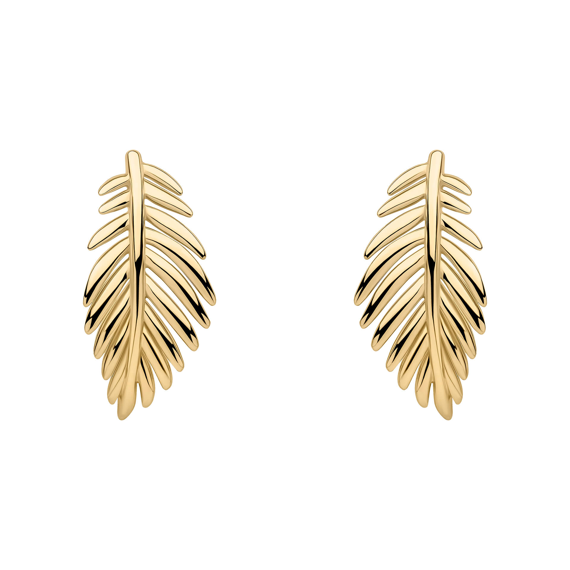 Laura Ashley Silver Marlbrook Leaf Earrings