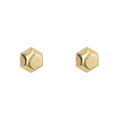 Elements Gold Hexagon Stud Earrings