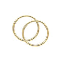 Elements Gold 10mm Hoop Earrings