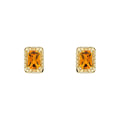 Elements Gold Detailed Octagon Citrine Stud Earrings