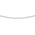 Beginnings Rhodium Plated Belcher Chain with Extender 56cm-61cm