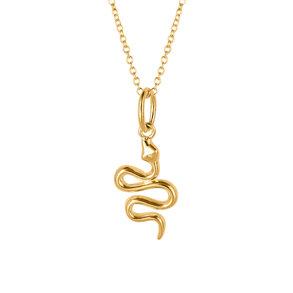 Beginnings Snake Necklace