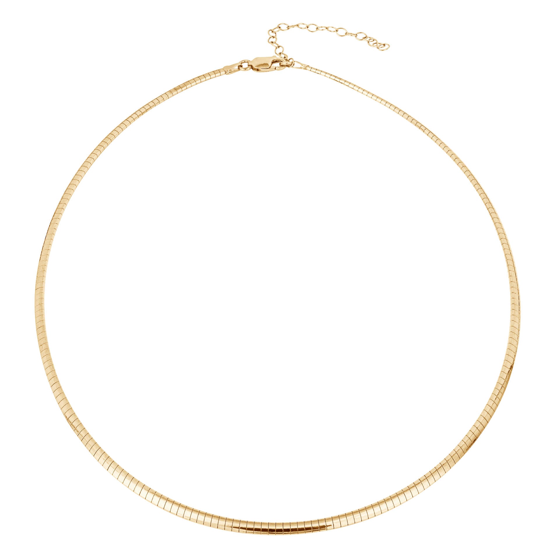 Beginnings Omega Chain Necklace