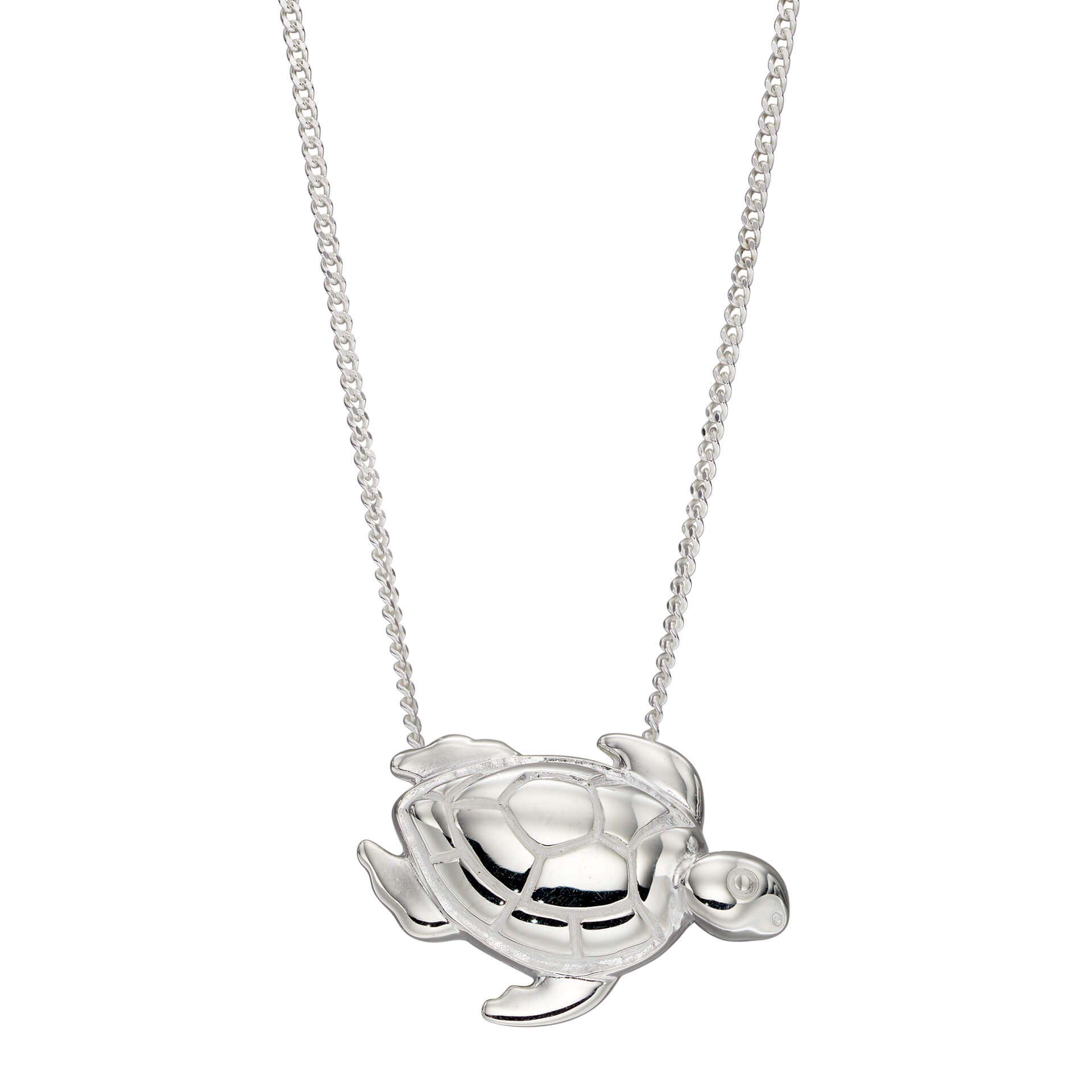 Beginnings Turtle Pendant