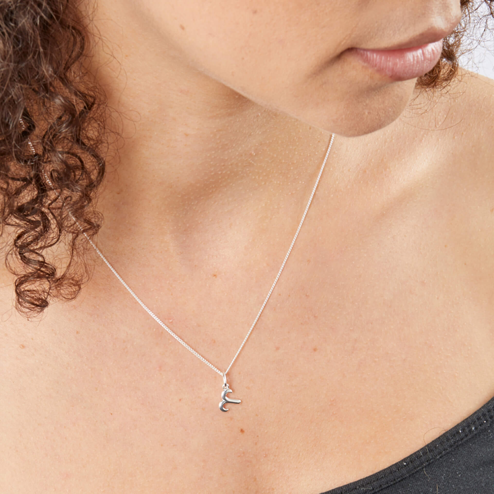 Beginnings Zodiac Necklace