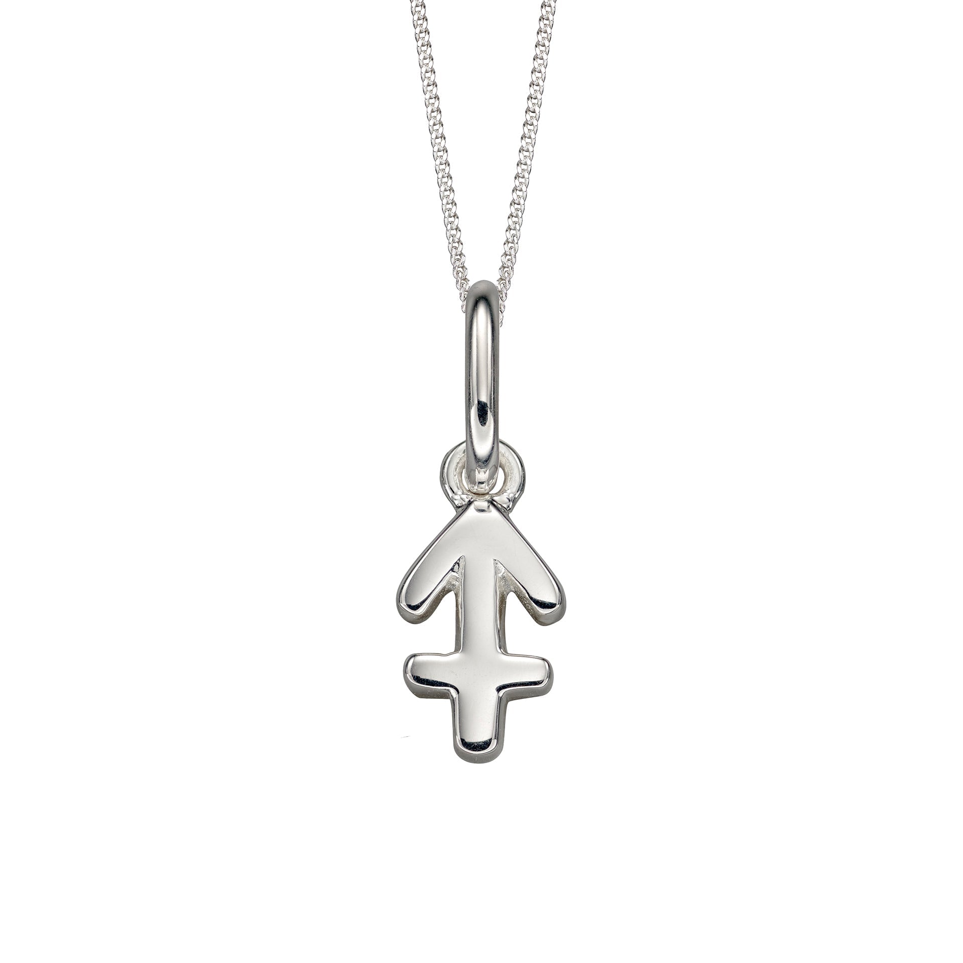 Beginnings Zodiac Necklace