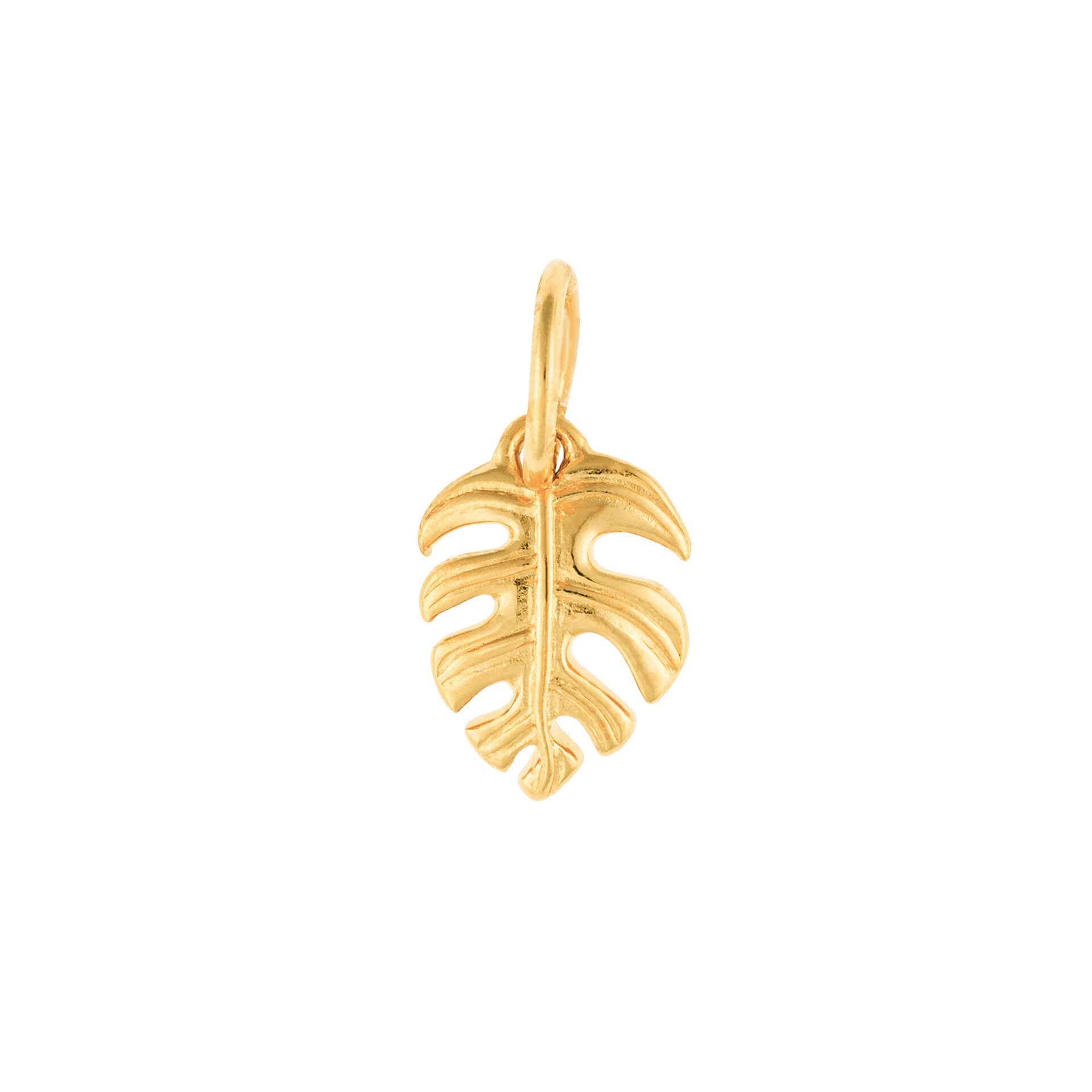 Beginnings Palm Leaf Pendant Charm