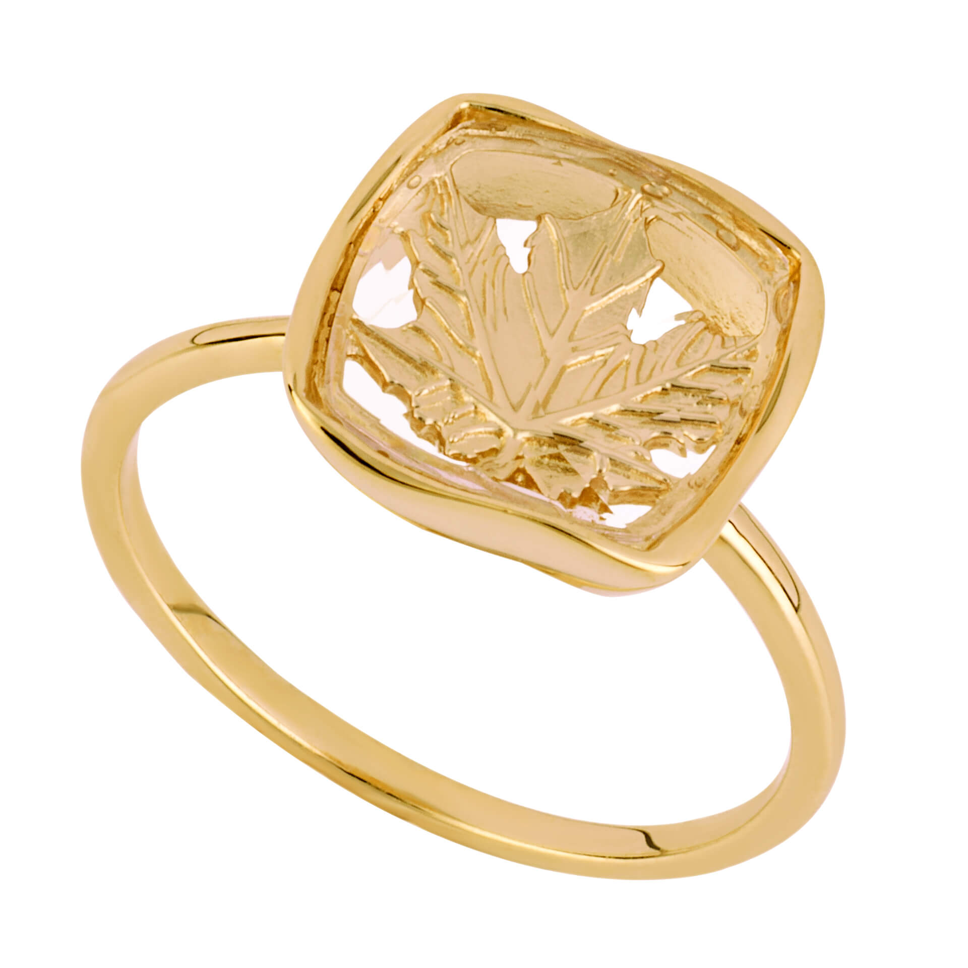 Beginnings Organic Square Ring with Enclosed Leaf